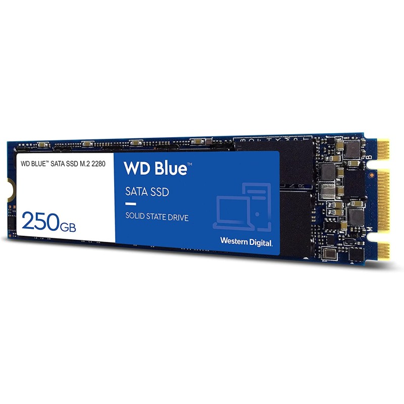 WD Blue 500 Go SSD M.2 SATA